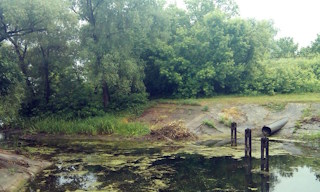 Экологические услуги от ПромМир-Срс в Старой Руссе - стоимость от 12228 руб.