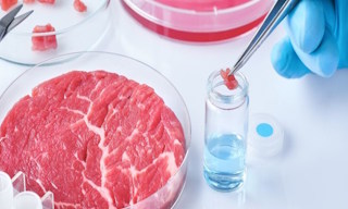 Лабораторный анализ пищевых продуктов по СанПиН в Старой Руссе в октябре