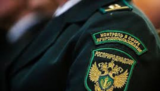 Подготовка к проверке Росприроднадзора в Старой Руссе от ПромМир-Срс, стоимость услуги от 20380 руб.